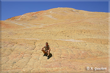 Yellow Rock